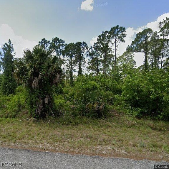 1016/1018 Ainsworth St E, Lehigh Acres, FL 33974 - photo 1