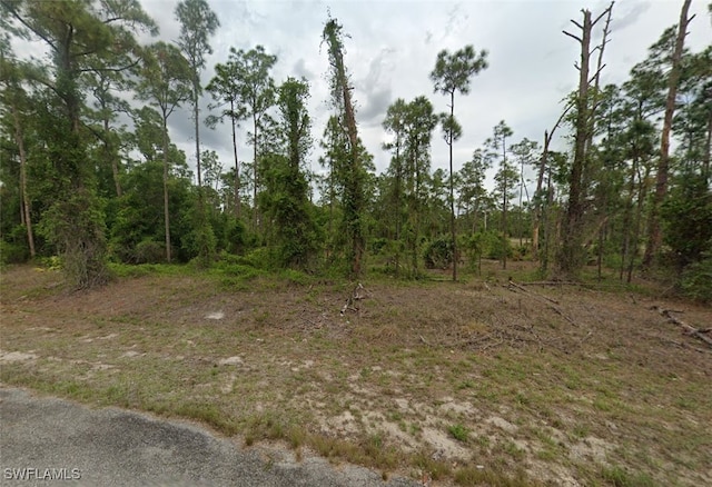 102 Irving Ave, Lehigh Acres, FL 33936 - photo 3