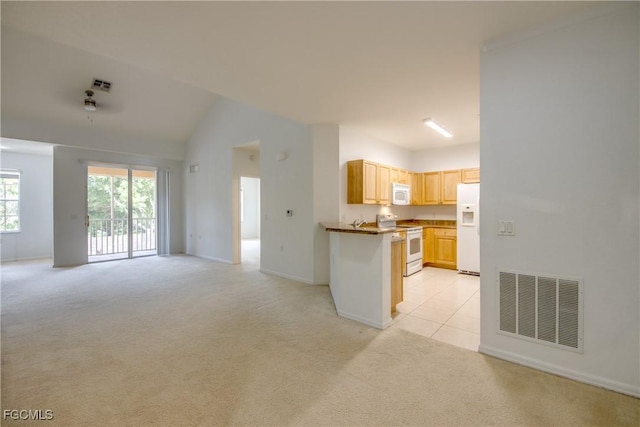 1763 Concordia Lake Cir Unit 3308, Cape Coral, FL 33909 - photo 11