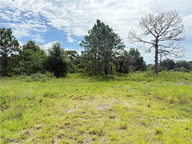375 N Olivo St, Clewiston, FL 33440 - photo 1