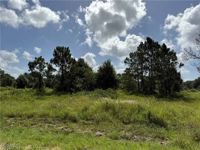 375 N Olivo St, Clewiston, FL 33440 - photo 2
