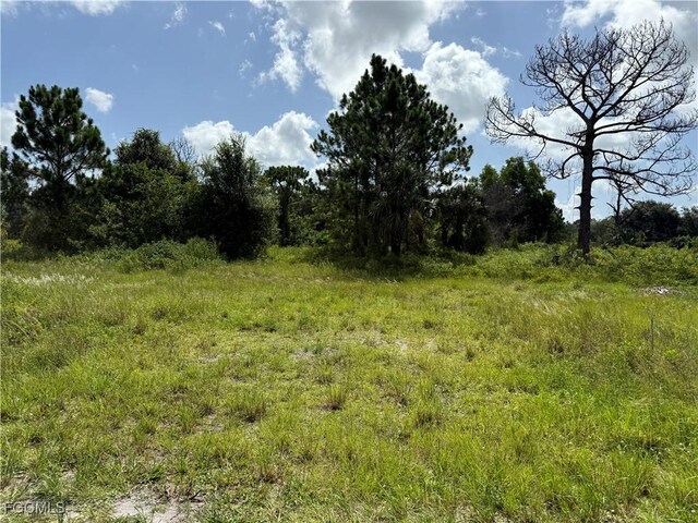 375 N Olivo St, Clewiston, FL 33440 - photo 3