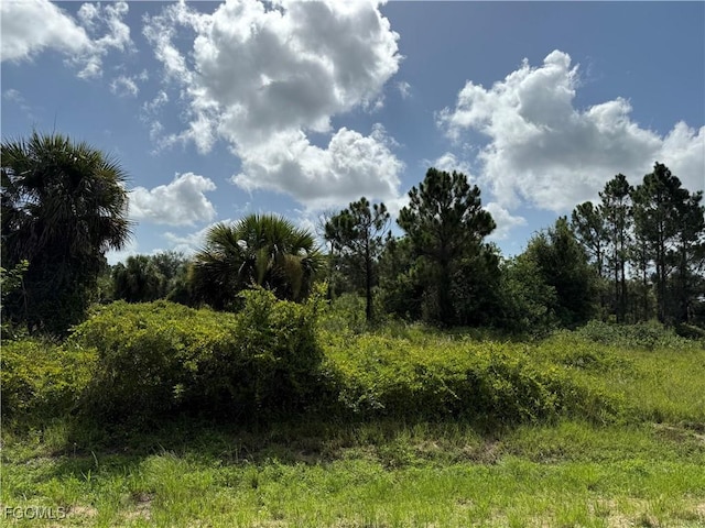 375 N Olivo St, Clewiston, FL 33440 - photo 4