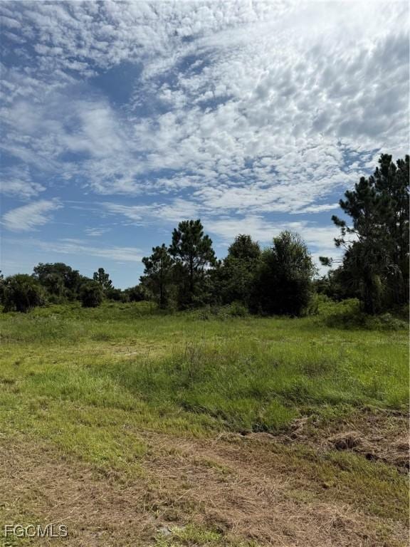 375 N Olivo St, Clewiston, FL 33440 - photo 6