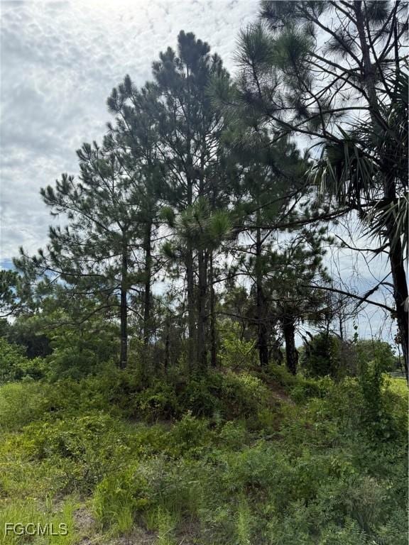 375 N Olivo St, Clewiston, FL 33440 - photo 9