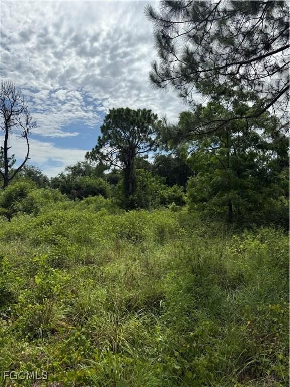 375 N Olivo St, Clewiston, FL 33440 - photo 10