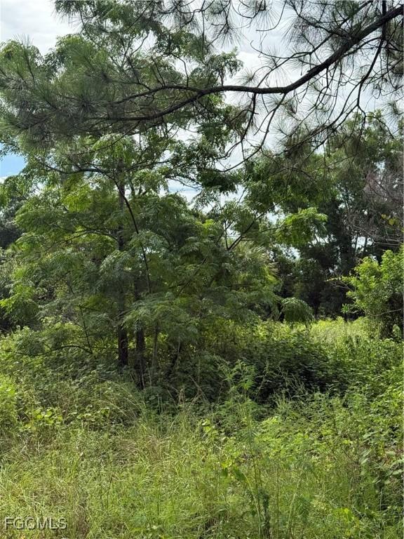 375 N Olivo St, Clewiston, FL 33440 - photo 11