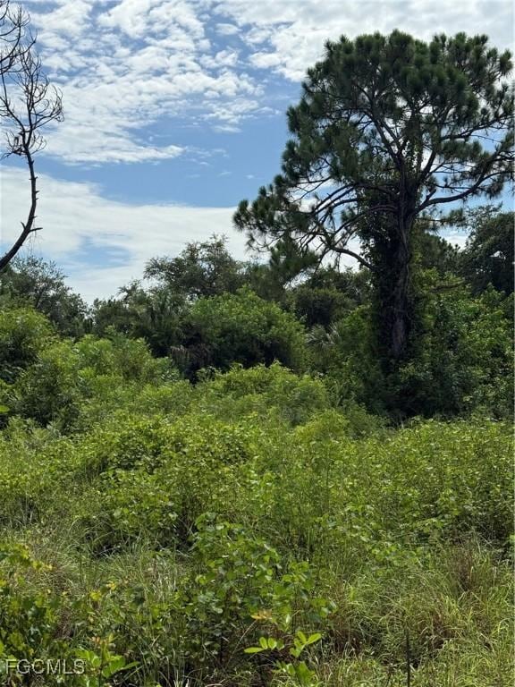 375 N Olivo St, Clewiston, FL 33440 - photo 12