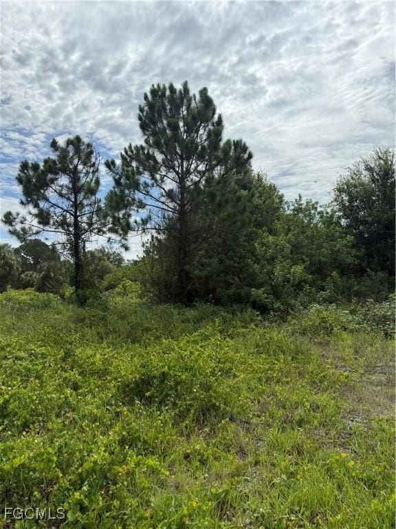 375 N Olivo St, Clewiston, FL 33440 - photo 13