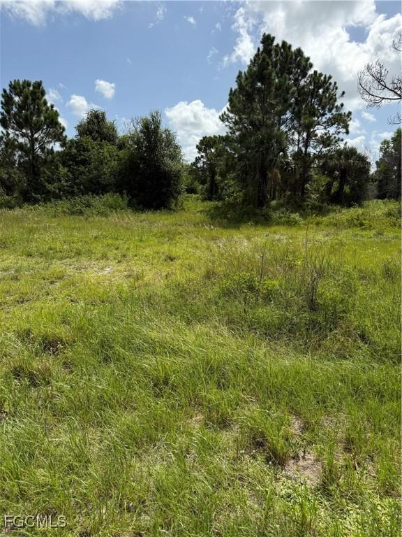 375 N Olivo St, Clewiston, FL 33440 - photo 14