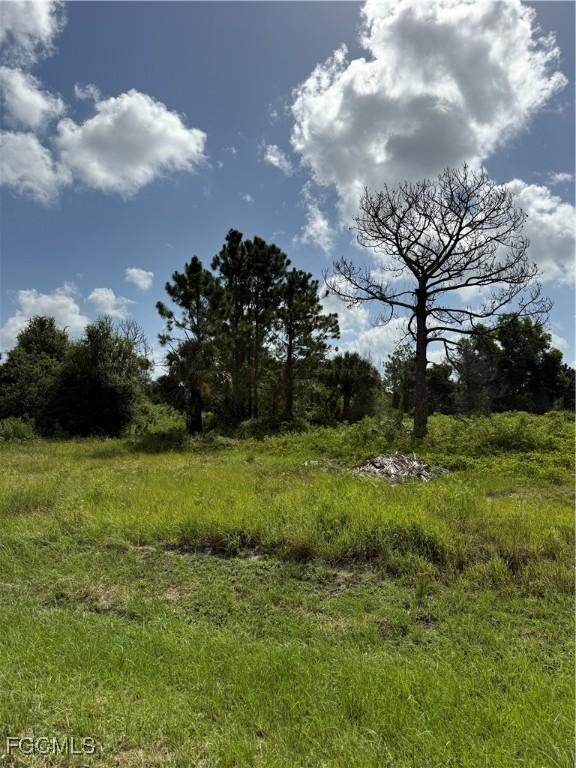 375 N Olivo St, Clewiston, FL 33440 - photo 15