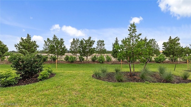 4592 Skysail Dr, Naples, FL 34120 - photo 33