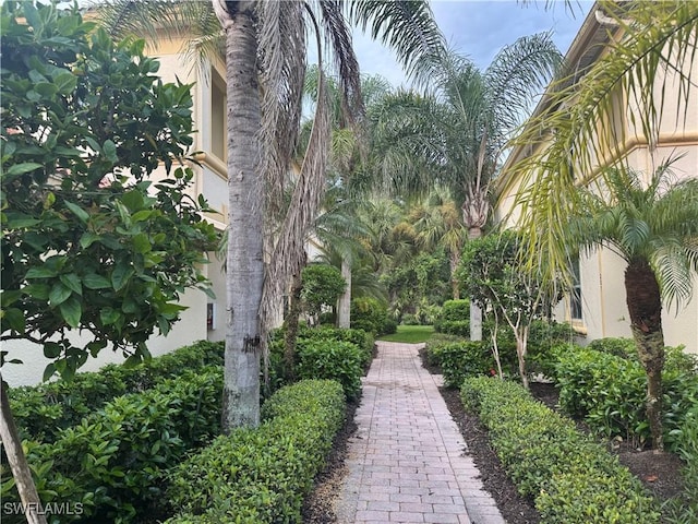 26485 Lucky Stone Rd Unit 202, Bonita Springs, FL 34135 - photo 3