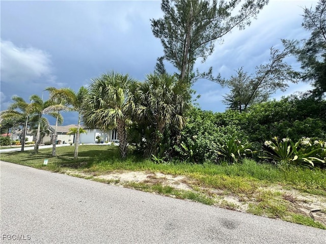 3416 SW 8th St, Cape Coral, FL 33991 - photo 10