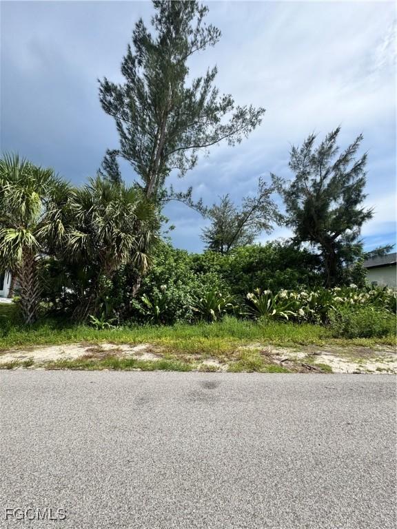 3416 SW 8th St, Cape Coral, FL 33991 - photo 5