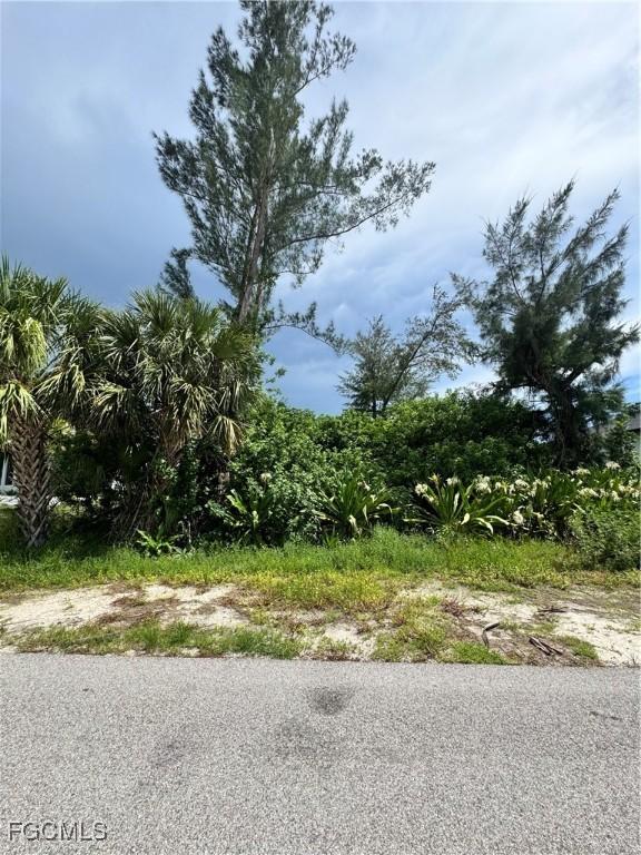 3416 SW 8th St, Cape Coral, FL 33991 - photo 3