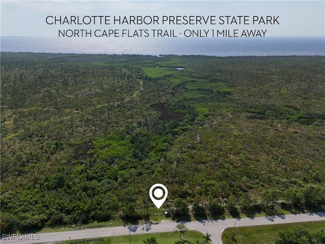 4209 NW 37th St, Cape Coral, FL 33993 - photo 6