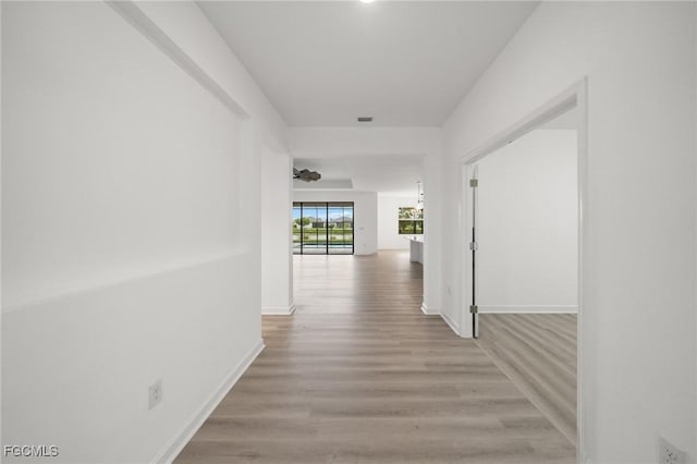11559 Canopy Loop, Fort Myers, FL 33913 - photo 11