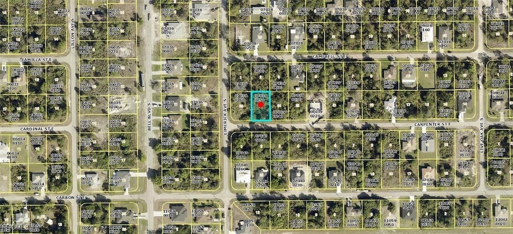 821 Carpenter St E, Lehigh Acres, FL 33974 - photo 1