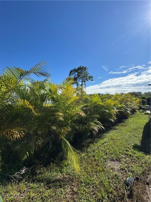 2907 66th St W, Lehigh Acres, FL 33971 - photo 16