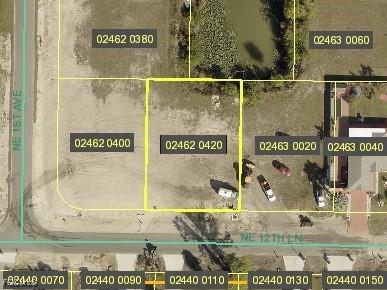 105 NE 12th Ln, Cape Coral, FL 33909 - photo 1