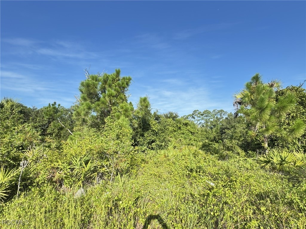 1221 5th Ave, Lehigh Acres, FL 33972 - photo 1