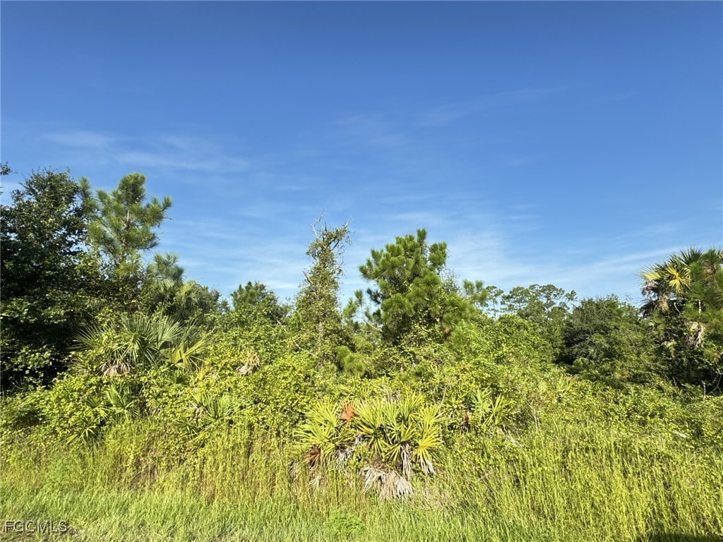 1221 5th Ave, Lehigh Acres, FL 33972 - photo 2