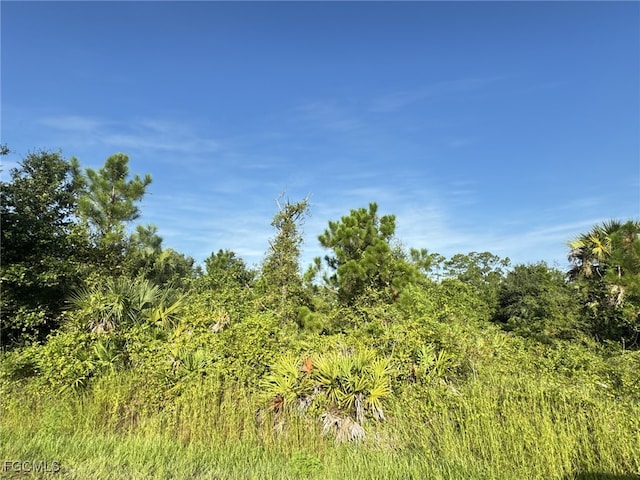 1221 5th Ave, Lehigh Acres, FL 33972 - photo 2