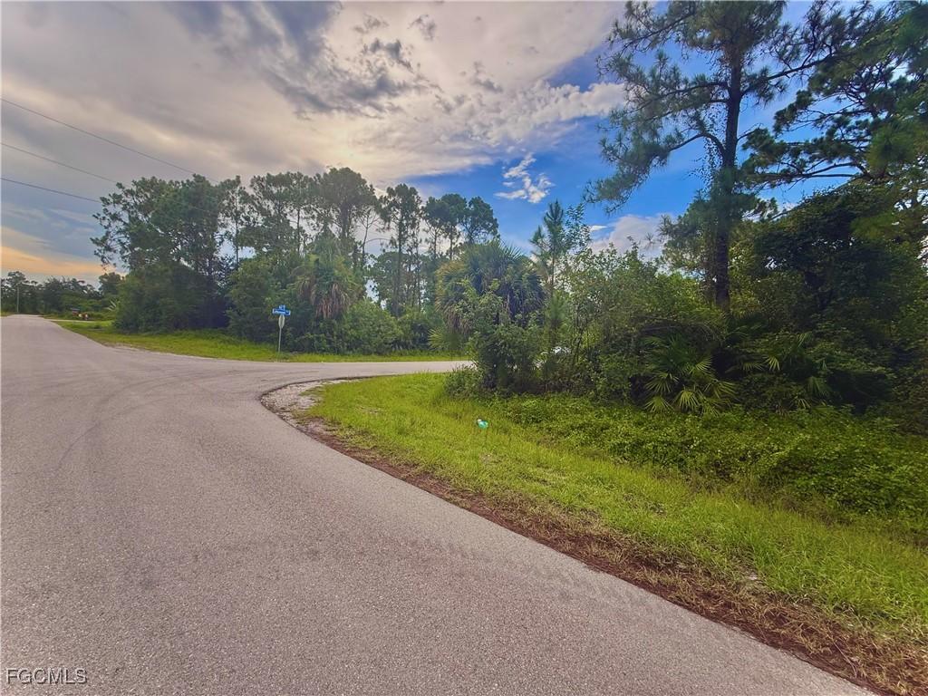 567 Cottonwood Ave S, Lehigh Acres, FL 33974 - photo 2