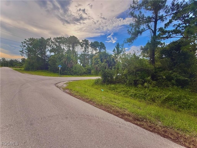 567 Cottonwood Ave S, Lehigh Acres, FL 33974 - photo 2