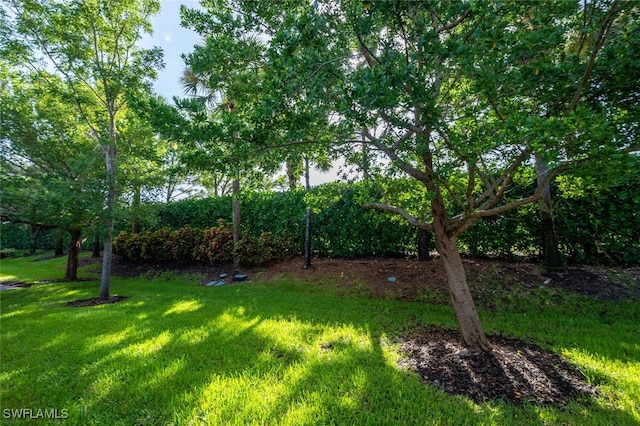 4462 Crimson Ave, Naples, FL 34119 - photo 26