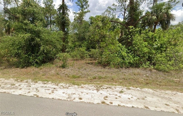 1100 W 13th St, Lehigh Acres, FL 33972 - photo 1