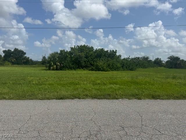 1711 NE 17th Ter, Cape Coral, FL 33909 - photo 3