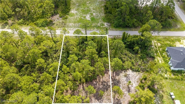 1305 Louis Ave, Lehigh Acres, FL 33972 - photo 4
