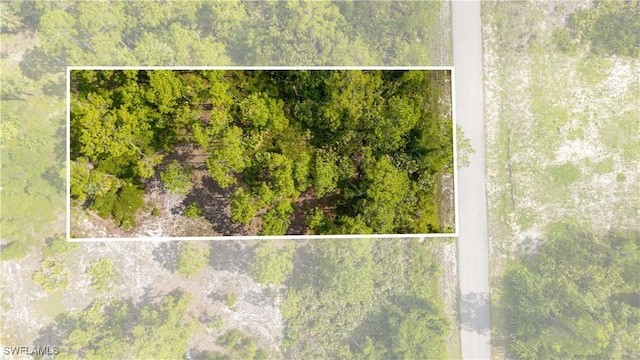 1305 Louis Ave, Lehigh Acres, FL 33972 - photo 7