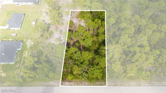 1305 Louis Ave, Lehigh Acres, FL 33972 - photo 3
