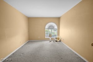 13421 Wild Cotton Ct, North Fort Myers, FL 33903 - photo 4