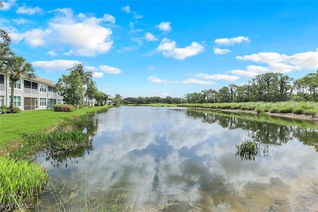 9331 Spring Run Blvd Unit 3003, Estero, FL 34135 - photo 27