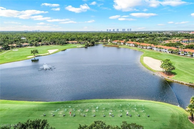 9331 Spring Run Blvd Unit 3003, Estero, FL 34135 - photo 39