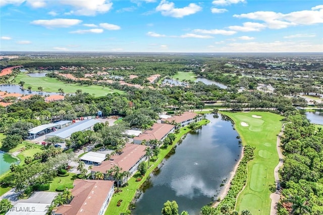 9331 Spring Run Blvd Unit 3003, Estero, FL 34135 - photo 42