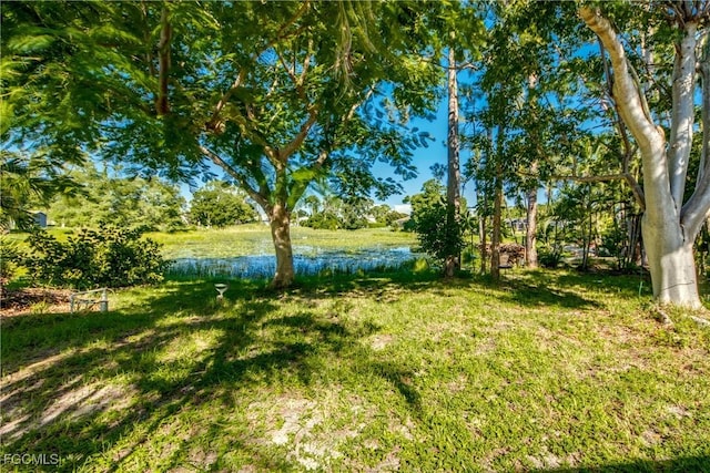 18364 Roseapple Ln, Fort Myers, FL 33967 - photo 39