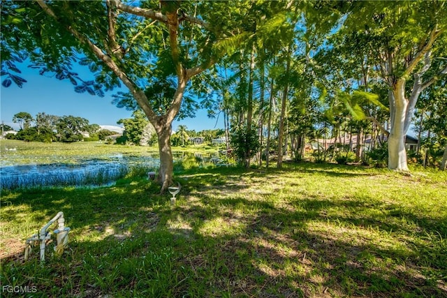 18364 Roseapple Ln, Fort Myers, FL 33967 - photo 40