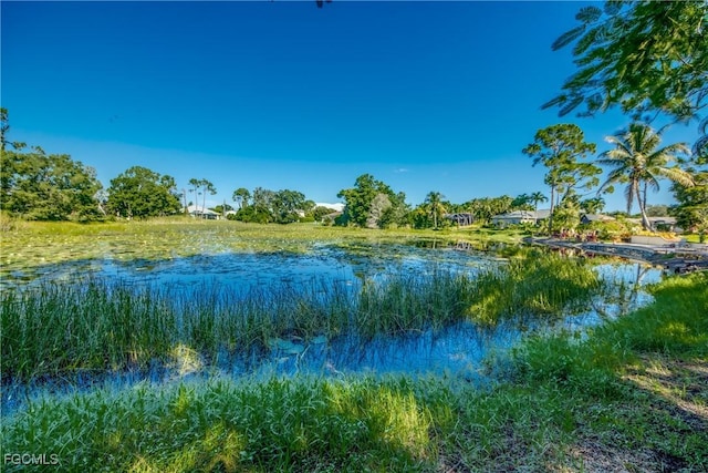 18364 Roseapple Ln, Fort Myers, FL 33967 - photo 45