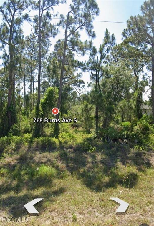 768 Burns Ave S, Lehigh Acres, FL 33974 - photo 1