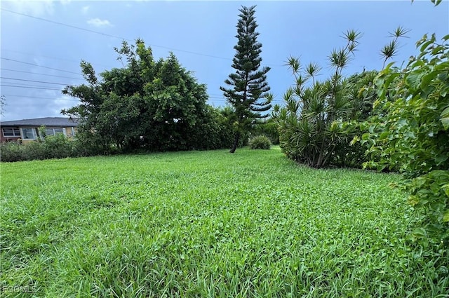 338 SE 47th Ter, Cape Coral, FL 33904 - photo 3