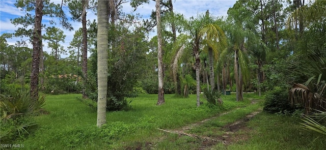 580 7th St SW, Naples, FL 34117 - photo 8
