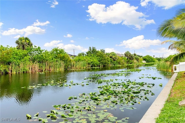 1004 NW 12th Ave, Cape Coral, FL 33993 - photo 39