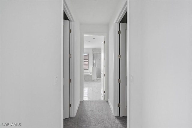 20849 Thistle Leaf Ln, Estero, FL 33928 - photo 33