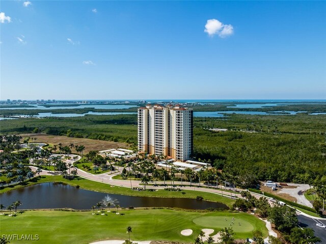 1065 Borghese Ln Unit 303, Naples, FL 34114 - photo 50