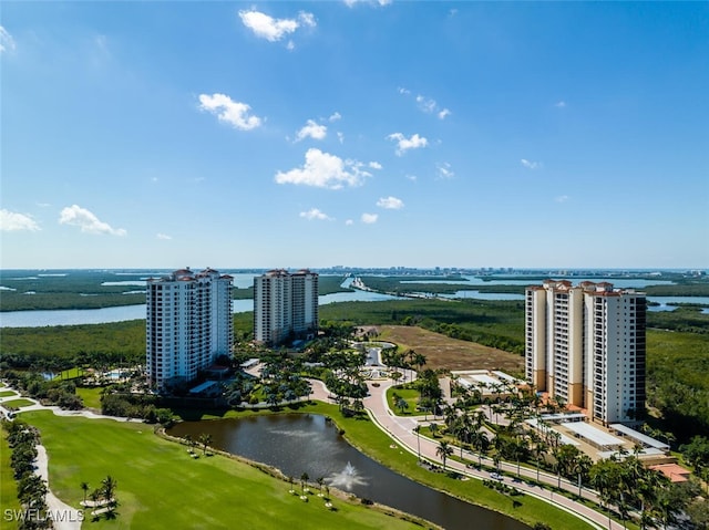 1065 Borghese Ln Unit 303, Naples, FL 34114 - photo 49